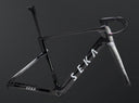 ExAero Frameset inc Gladius Alta Handlebar