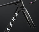ExAero Frameset inc Gladius Alta Handlebar